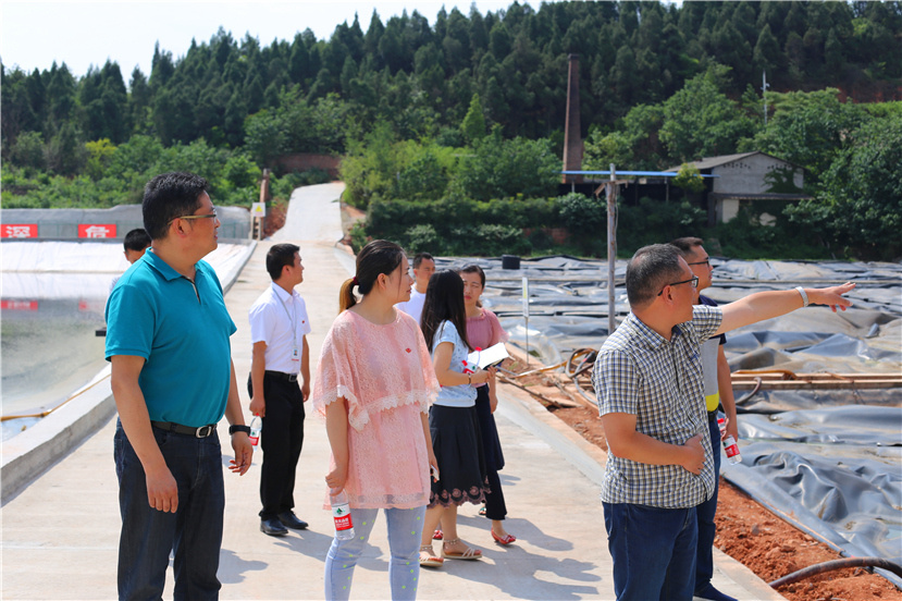 集團(tuán)第一檢查組檢查杰陽(yáng)排水公司、固廢處置公司安全防汛和環(huán)保達(dá)標(biāo)各項(xiàng)工作3_副本
