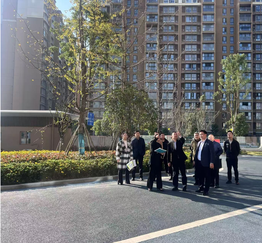 副市長徐春龍調(diào)研德陽市老年養(yǎng)護(hù)院、德陽市民政精神衛(wèi)生福利機(jī)構(gòu)項目建設(shè)工作
